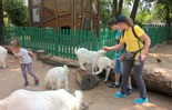  (photo)