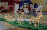  (photo)