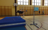 (photo)