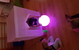  (photo)