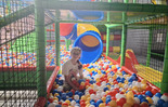 (photo)