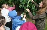 (photo)