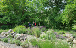 (photo)
