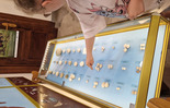 (photo)