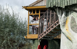 (photo)