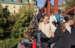  (photo)