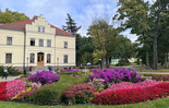 (photo)
